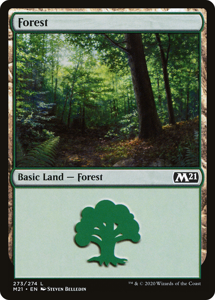 Forest (M21-273) [Core Set 2021] Foil