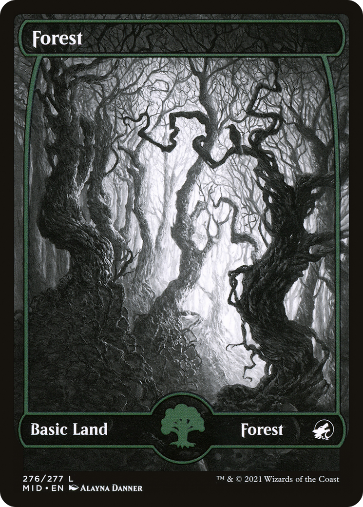 Forest (MID-276) (Showcase) [Innistrad: Midnight Hunt]