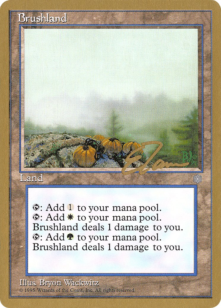 Brushland - 1996 Eric Tam (ICE) [Pro Tour Collector Set]
