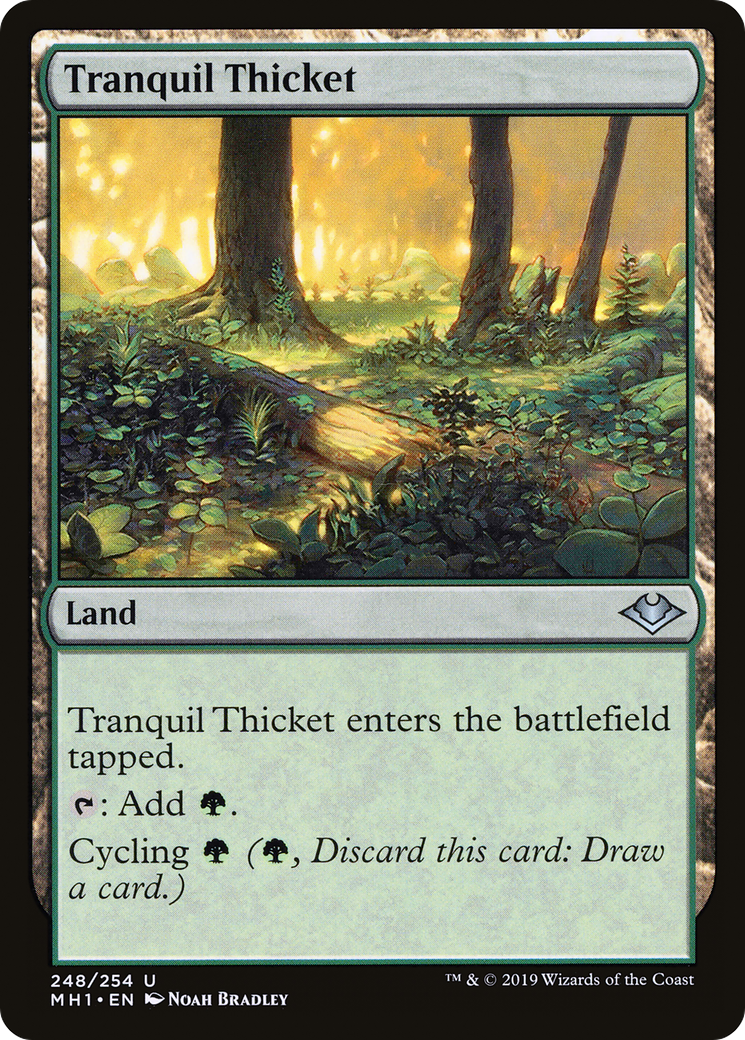 Tranquil Thicket (MH1-248) [Modern Horizons] Foil