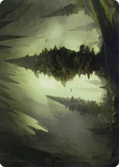 Forest // Forest (AAFR-055) (Borderless) [Adventures in the Forgotten Realms Art Series] Foil