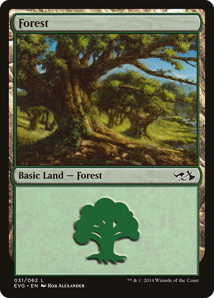 Forest (DD3-031) (Elves vs Goblins) [Duel Decks Anthology: Elves vs. Goblins]