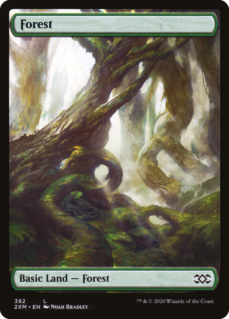 Forest (2XM-382) [Double Masters] Foil