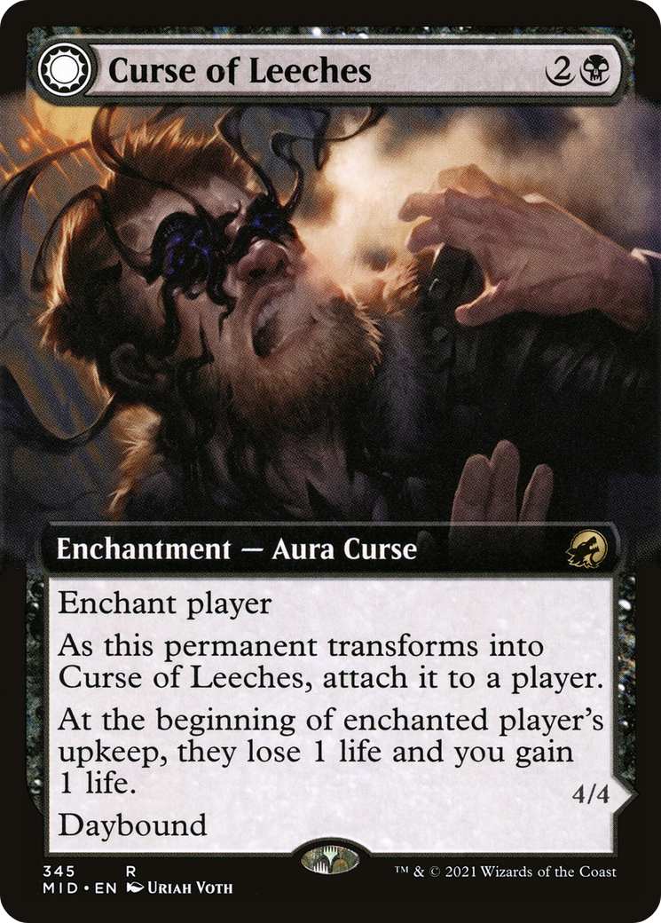 Curse of Leeches (Extended Art) (MID-345) [Innistrad: Midnight Hunt]