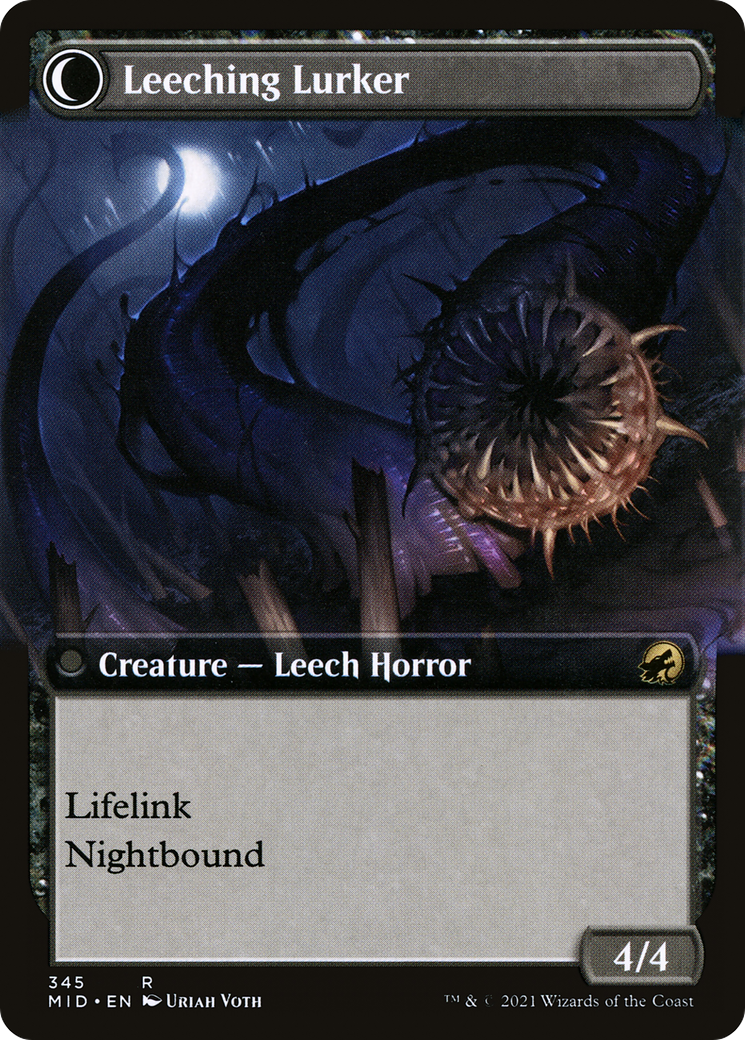 Curse of Leeches (Extended Art) (MID-345) [Innistrad: Midnight Hunt]