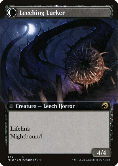Curse of Leeches (Extended Art) (MID-345) [Innistrad: Midnight Hunt]