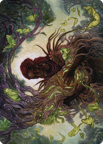 Circle of Dreams Druid // Circle of Dreams Druid (AAFR-066) (Borderless) [Adventures in the Forgotten Realms Art Series] Foil