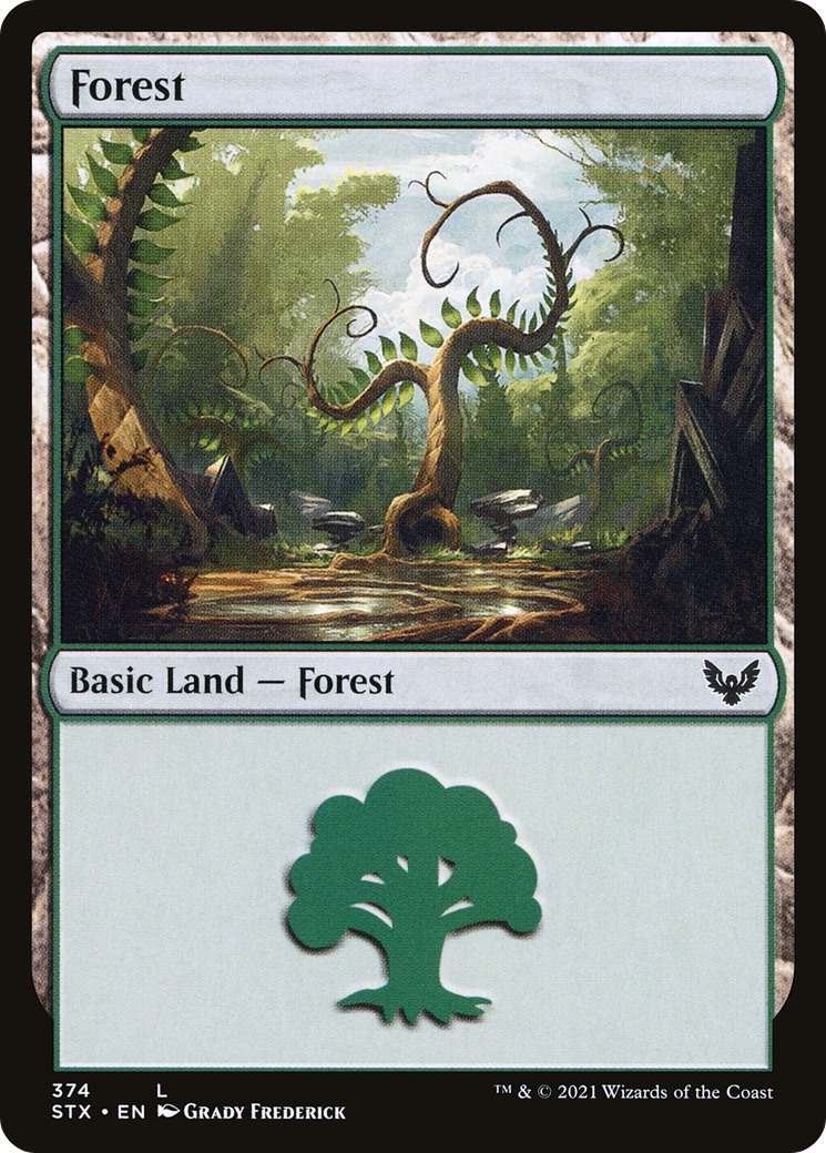 Forest (STX-374) [Strixhaven: School of Mages] Foil