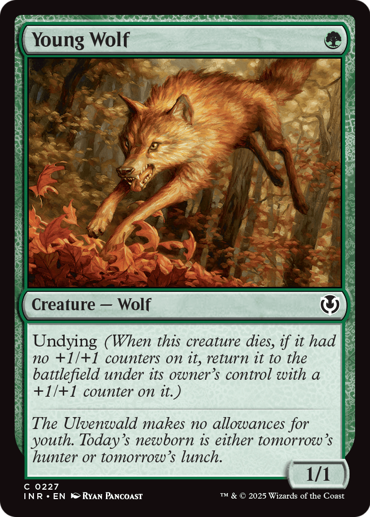 Young Wolf (INR-227) [Innistrad Remastered] Foil